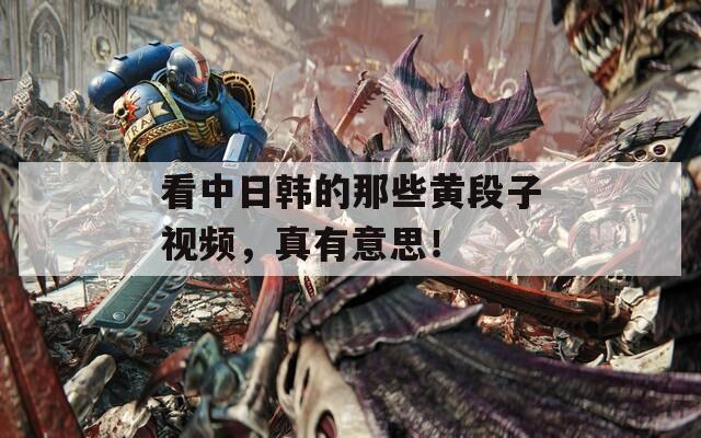 看中日韩的那些黄段子视频，真有意思！