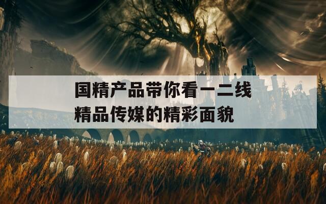 国精产品带你看一二线精品传媒的精彩面貌