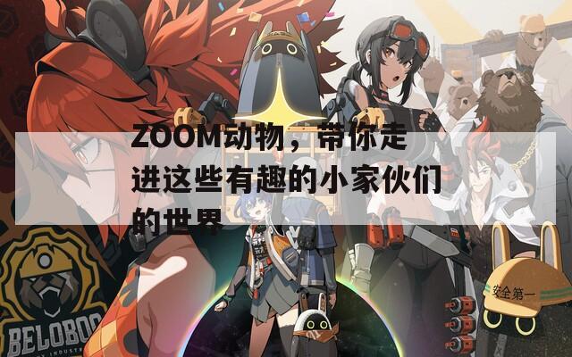 ZOOM动物，带你走进这些有趣的小家伙们的世界