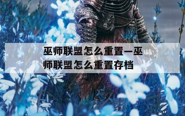 巫师联盟怎么重置—巫师联盟怎么重置存档