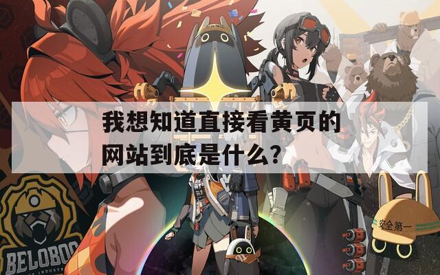我想知道直接看黄页的网站到底是什么？