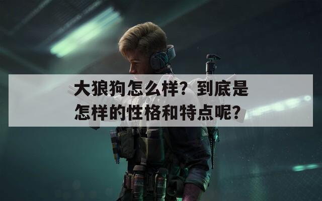 大狼狗怎么样？到底是怎样的性格和特点呢？