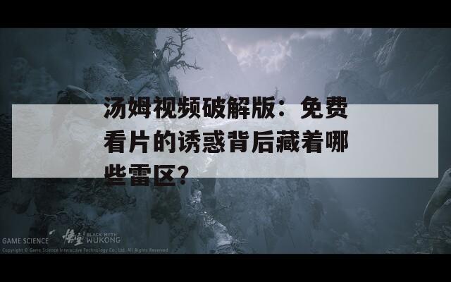 汤姆视频破解版：免费看片的诱惑背后藏着哪些雷区？