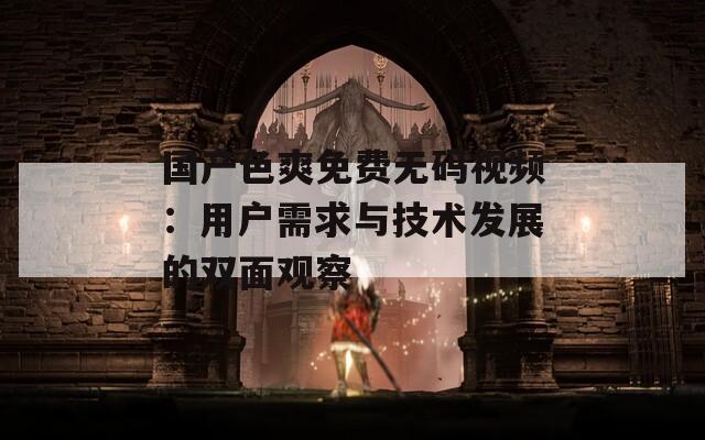 国产色爽免费无码视频：用户需求与技术发展的双面观察